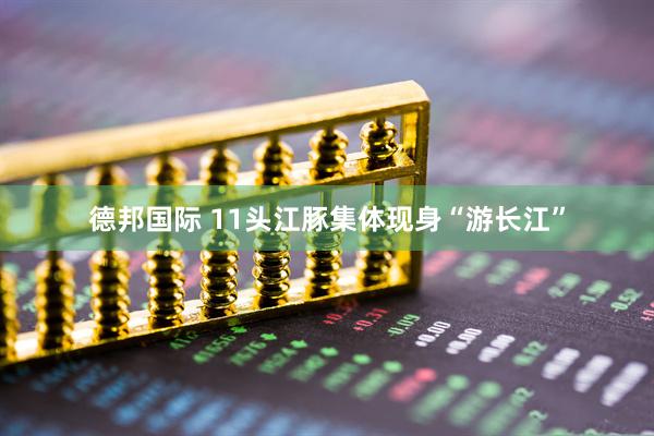 德邦国际 11头江豚集体现身“游长江”