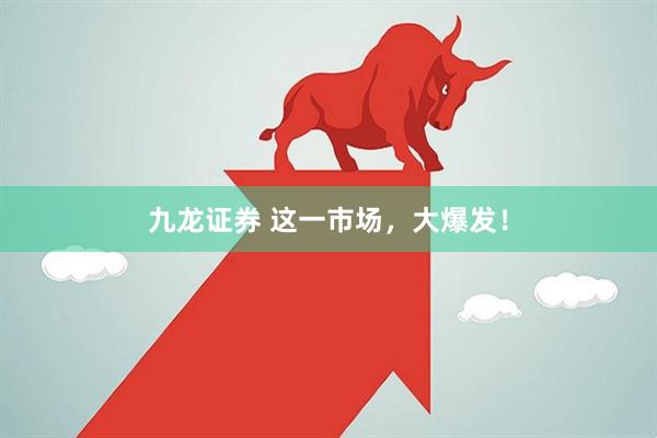 九龙证券 这一市场，大爆发！