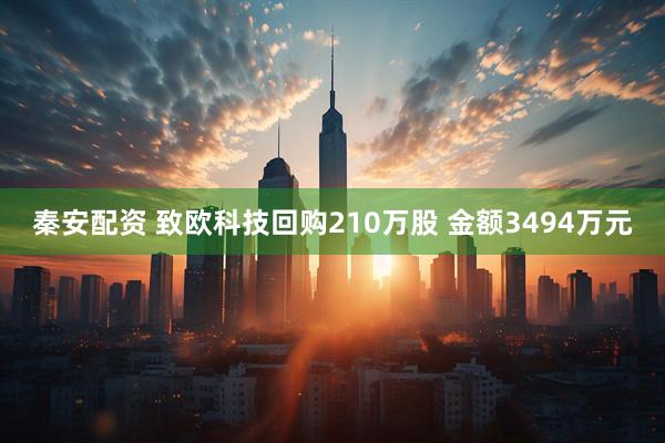 秦安配资 致欧科技回购210万股 金额3494万元