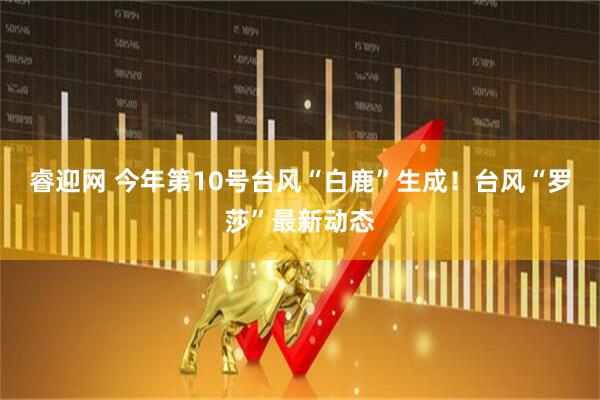 睿迎网 今年第10号台风“白鹿”生成！台风“罗莎”最新动态