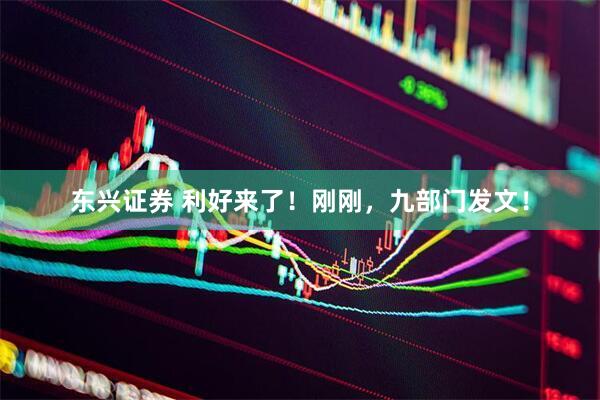 东兴证券 利好来了！刚刚，九部门发文！