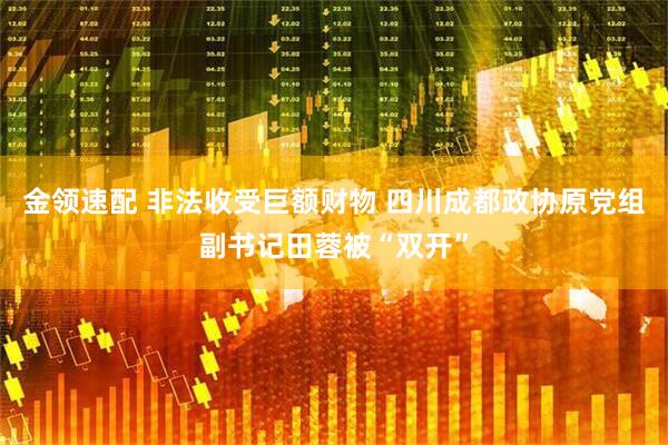 金领速配 非法收受巨额财物 四川成都政协原党组副书记田蓉被“双开”