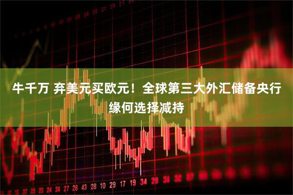 牛千万 弃美元买欧元！全球第三大外汇储备央行缘何选择减持