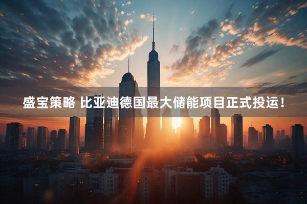 盛宝策略 比亚迪德国最大储能项目正式投运！