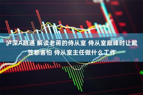 泸深A融通 解读老蒋的侍从室 侍从室巅峰时让戴笠都害怕 侍从室主任做什么工作